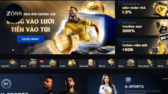 Thông tin quan trọng về chặng đường hoạt động ZO88
