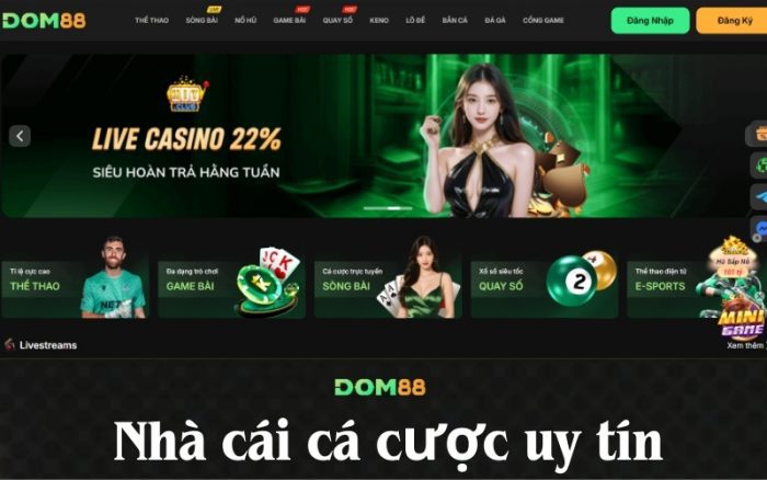 Nhà cái cá cược uy tín dom88